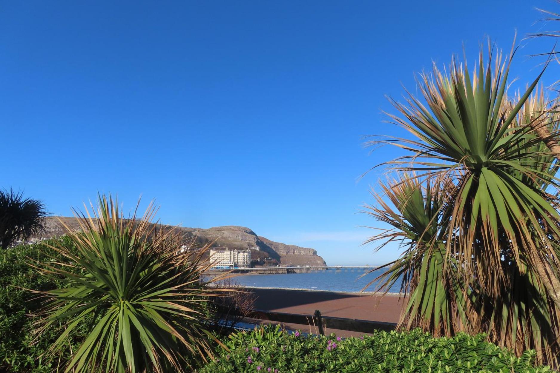 Noah'S Rest Villa Llandudno Luaran gambar